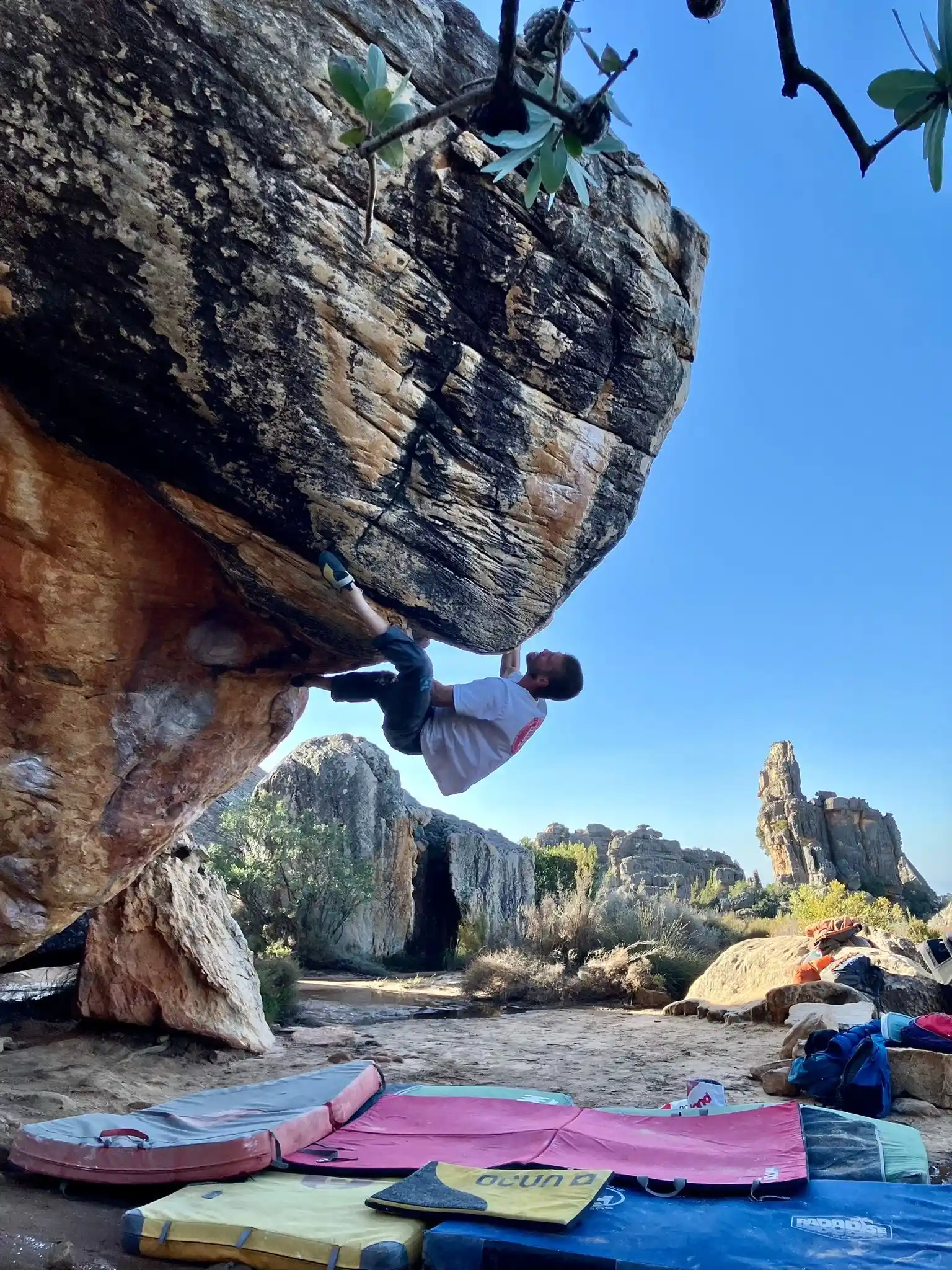 c6c409a6-371c-4a28-a776-a26a6755e728